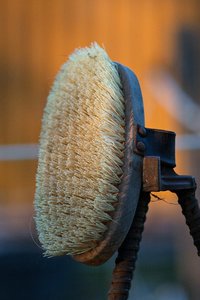 0004985_OLYMPUS OM  3.jpg