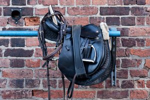 0004986_OLYMPUS OM  3.jpg