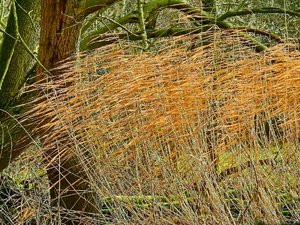 DSCN0091 Kopie Kopie.jpg