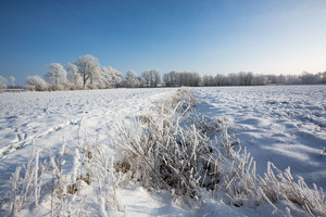 Winter_1500_500-3.jpg