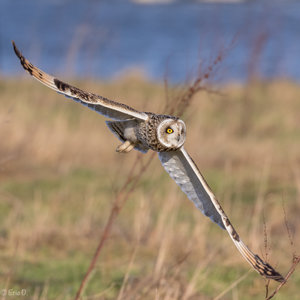 7D2_2584-1.jpg 7D2_2584-1.jpg