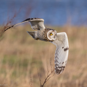 7D2_2585-1.jpg 7D2_2585-1.jpg