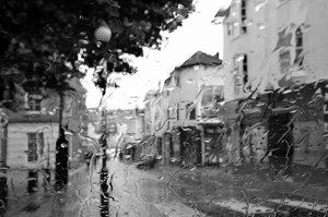 DSC_2064a (FILEminimizer).JPG