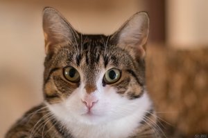 500k_SAM_0697.jpg 500k_SAM_0697.jpg