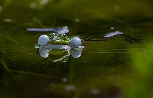 comp_comp_IMGP4042-3 Kopie.jpg