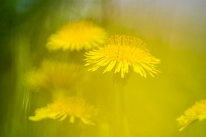 comp_comp_IMGP1348-2 Kopie.jpg