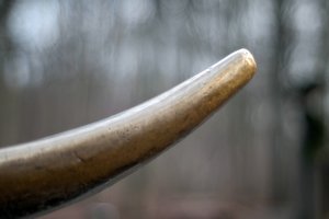 0005001_OLYMPUS 1.jpg 0005001_OLYMPUS 1.jpg