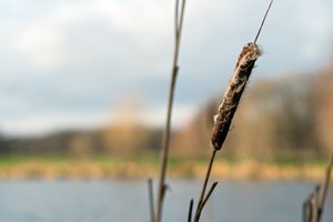 0005002_OLYMPUS 1.jpg 0005002_OLYMPUS 1.jpg