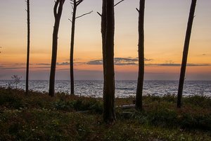 comp_comp_IMGP5375-2 Kopie.jpg