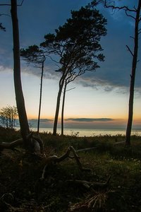 comp_comp_IMGP5255 Kopie.jpg