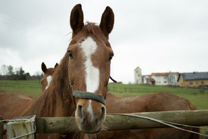 _MG_9628_1400.jpg _MG_9628_1400.jpg