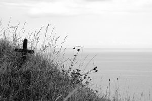 DSC_2181a.JPG DSC_2181a.JPG