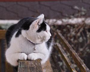 20160206_0002 Bilderforum2.jpg