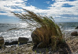 comp_comp_IMGP5041-2 Kopie.jpg