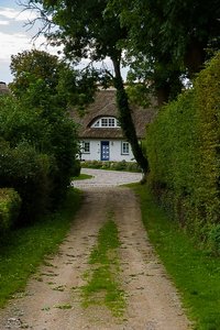 1comp_IMGP5003-2 Kopie.jpg