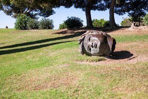 comp_IMG_5667.jpg comp_IMG_5667.jpg