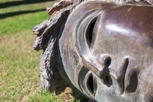 comp_IMG_5669.jpg comp_IMG_5669.jpg