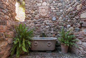 comp_IMG_4538.jpg comp_IMG_4538.jpg