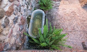 comp_IMG_4540.jpg comp_IMG_4540.jpg