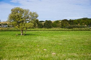 IMGP5024-2 Kopie.jpg