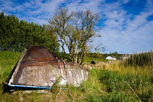 IMGP5026-2 Kopie.jpg