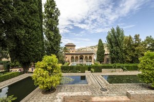 comp__DSC4528.jpg comp__DSC4528.jpg