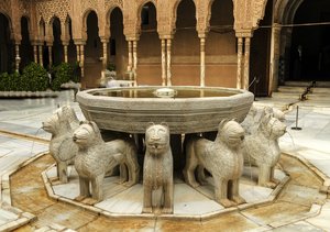 comp__DSC4517.jpg comp__DSC4517.jpg