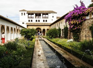 comp__DSC4417.jpg comp__DSC4417.jpg