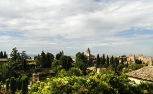 comp__DSC4443.jpg comp__DSC4443.jpg