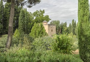 comp__DSC4381.jpg comp__DSC4381.jpg