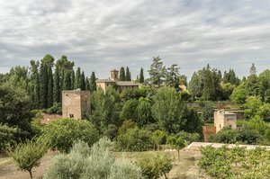 comp__DSC4399.jpg comp__DSC4399.jpg