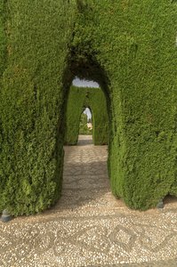 comp__DSC4389.jpg comp__DSC4389.jpg