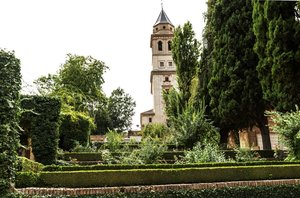 comp__DSC4525.jpg comp__DSC4525.jpg