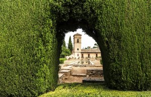 comp__DSC4449.jpg comp__DSC4449.jpg