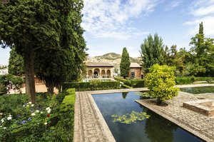 comp__DSC4526.jpg comp__DSC4526.jpg