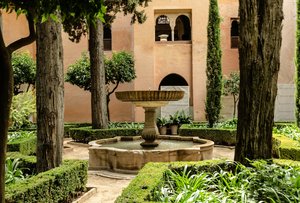 comp__DSC4523.jpg comp__DSC4523.jpg