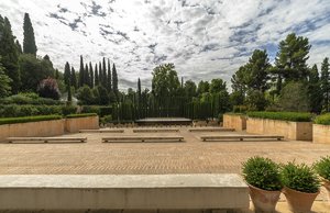 comp__DSC4387.jpg comp__DSC4387.jpg