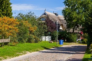 IMGP5059-2 Kopie.jpg