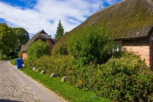 IMGP5061-2 Kopie.jpg