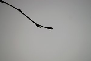 Forum DSC07840tw (c) PPf.jpg