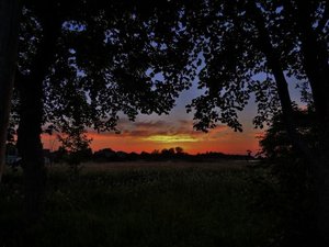 P1000555 (640x480) - Kopie - Kopie.jpg