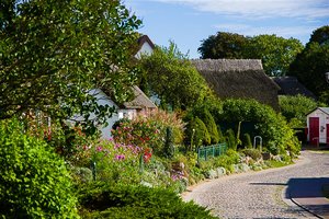 IMGP5064-2 Kopie.jpg IMGP5064-2 Kopie.jpg