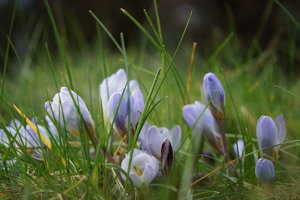 Bild - 3.JPG Bild - 3.JPG