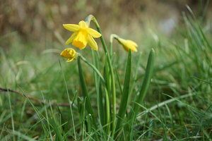 Bild - 4.JPG Bild - 4.JPG