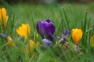 Bild - 6.JPG Bild - 6.JPG