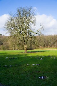 DSC00044.jpg DSC00044.jpg