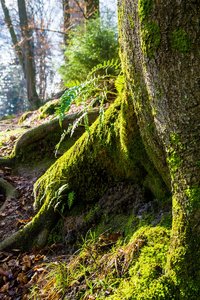 DSC00052.jpg DSC00052.jpg