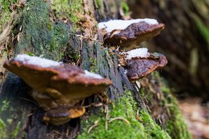 DSC00056.jpg DSC00056.jpg