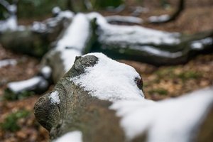 DSC00057.jpg DSC00057.jpg