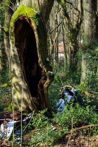 DSC00060.jpg DSC00060.jpg